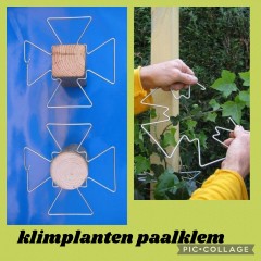 Klimplanten plaatsen tegen staanders van overkappingen en meer