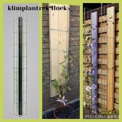 Klimplanten plaatsen tegen staanders van overkappingen en meer