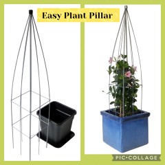 PLANTENREKKEN tuinrekken klimplantrekken clematis jasmijn passieflora