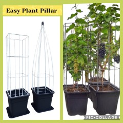 PLANTENREKKEN tuinrekken klimplantrekken clematis jasmijn passieflora