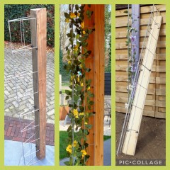 PLANTENREKKEN tuinrekken klimplantrekken clematis jasmijn passieflora