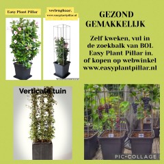 PLANTENREKKEN tuinrekken klimplantrekken clematis jasmijn passieflora