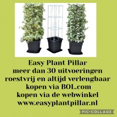 PLANTENREKKEN tuinrekken klimplantrekken clematis jasmijn passieflora