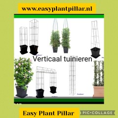 PLANTENREKKEN tuinrekken klimplantrekken clematis jasmijn passieflora