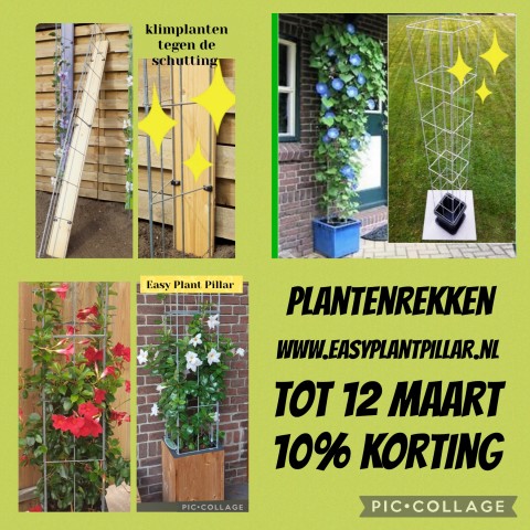 PLANTENREKKEN tuinrekken klimplantrekken clematis jasmijn passieflora