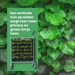 Verticale Tuin zwart met frame op wielen en Watersysteem - Hangende Pl