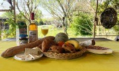 🌞 Heerlijk vakantiehuis te Huur Zuid-West Frankrijk met Privé