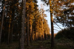 Zoekt u een rustige en voordelige camper plaats in de Eifel