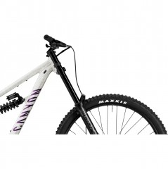 2025 Canyon Torque DH CLLCTV Mountain Bike  ZONACYCLES 