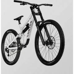 2025 Canyon Torque DH CLLCTV Mountain Bike  ZONACYCLES 