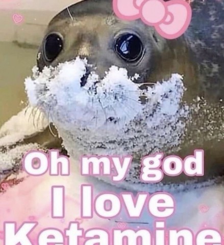 Ketamine  MDMA  MDPV  MXE  4-fa  am2201 en andere