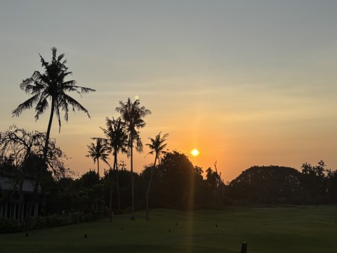 Looking for Asian companion in Amsterdam