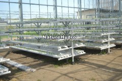 Hydroponic Nft Growing System