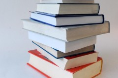 Zoekt u een goedkoop en spannend boek