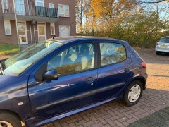 Peugeot 206 1 4 liter