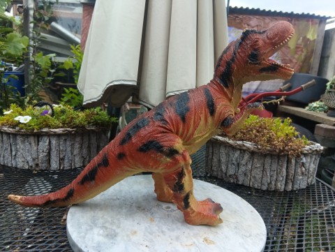 grote tiranno saurus rex
