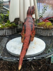 grote tiranno saurus rex