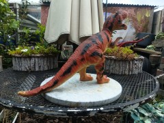 grote tiranno saurus rex