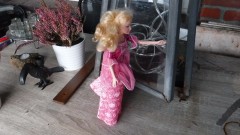 Leuke blonde barbie