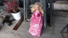 Leuke blonde barbie