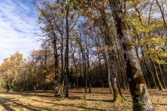 Villa te koop Zuidwest Frankrijk