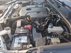 Witte Toyota Hilux crew cab