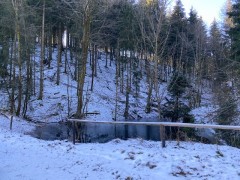 Zoekt u een rustige en voordelige camper plaats in de Eifel