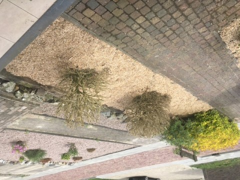 Miscanthus Mulch   Bodembedekking   Duurzaam en 100% Natuurlijk