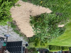 Miscanthus Mulch   Bodembedekking   Duurzaam en 100% Natuurlijk