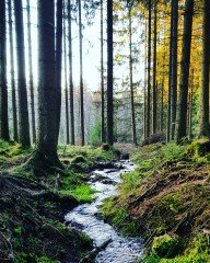 Zoekt u een rustige en voordelige camper plaats in de Eifel