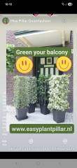 KLIMHULP draadrekken voor klimmende en steunvragende planten