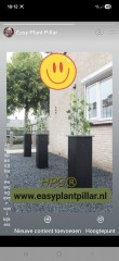 KLIMHULP draadrekken voor klimmende en steunvragende planten