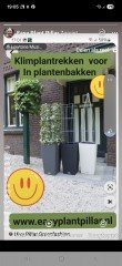 KLIMHULP draadrekken voor klimmende en steunvragende planten