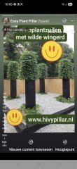 KLIMHULP draadrekken voor klimmende en steunvragende planten