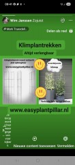 KLIMHULP draadrekken voor klimmende en steunvragende planten