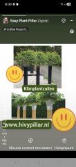 KLIMHULP draadrekken voor klimmende en steunvragende planten