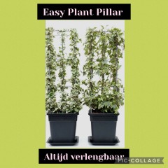 Draadrekken Plantensteunen klimplantsteunen plantenrekken tuinrek
