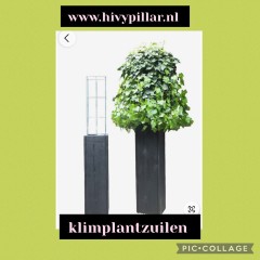 Draadrekken Plantensteunen klimplantsteunen plantenrekken tuinrek