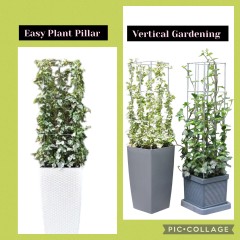 Draadrekken Plantensteunen klimplantsteunen plantenrekken tuinrek