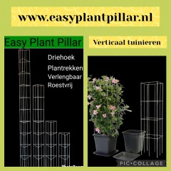Draadrekken Plantensteunen klimplantsteunen plantenrekken tuinrek