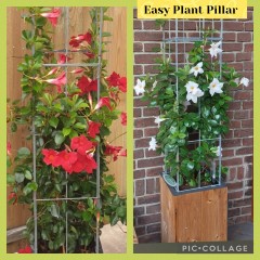 Draadrekken Plantensteunen klimplantsteunen plantenrekken tuinrek