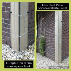 Draadrekken Plantensteunen klimplantsteunen plantenrekken tuinrek