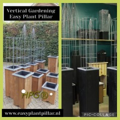 Draadrekken Plantensteunen klimplantsteunen plantenrekken tuinrek