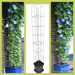 Draadrekken Plantensteunen klimplantsteunen plantenrekken tuinrek