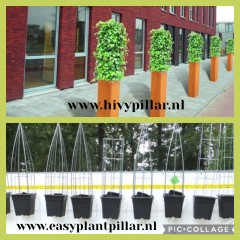 Draadrekken Plantensteunen klimplantsteunen plantenrekken tuinrek