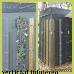 Draadrekken Plantensteunen klimplantsteunen plantenrekken tuinrek
