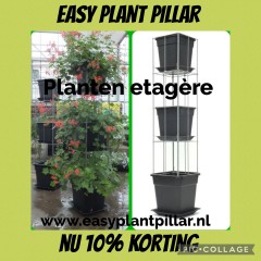 Draadrekken Plantensteunen klimplantsteunen plantenrekken tuinrek