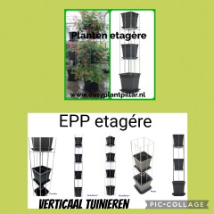 Draadrekken Plantensteunen klimplantsteunen plantenrekken tuinrek