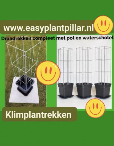 Draadrekken Plantensteunen klimplantsteunen plantenrekken tuinrek