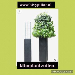 Draadrekken Plantensteunen klimplantsteunen plantenrekken tuinrek